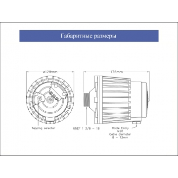 Драйвер громкоговорителя DS(T)-100